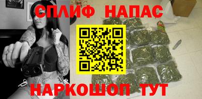 тгк Канаш